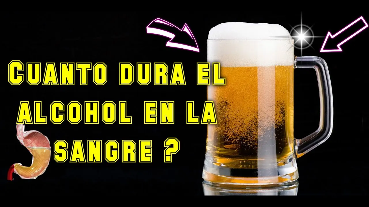 Cuanto dura la cerveza en el cuerpo
