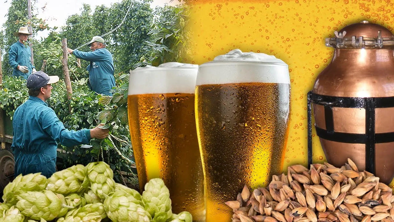 De qué está hecho la cerveza