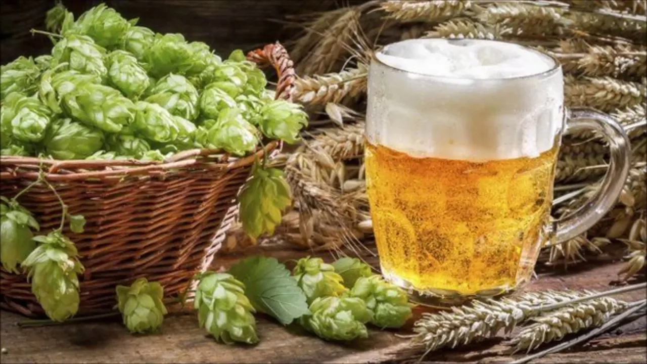 Ipa cerveza significado