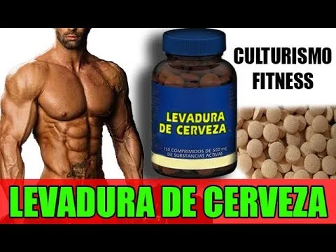 Levadura de cerveza: Beneficios para el gimnasio