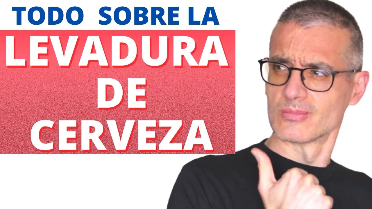 Levadura de cerveza y germen de trigo: propiedades y contraindicaciones